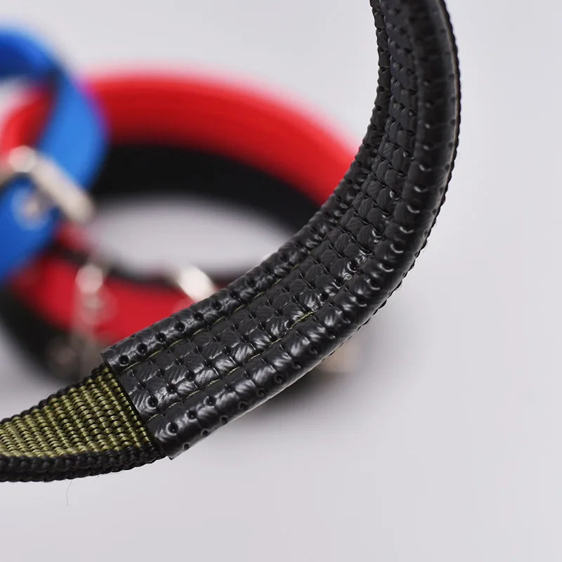 Adjustable Nylon Strap Dog Collar